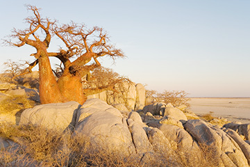 博茨瓦纳卡萨内机场三字代码(BBK),卡萨内机场(Kasane Airport)四字码,博茨瓦纳机场三字码查询
